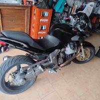 Moto Guzzi Breva 1100