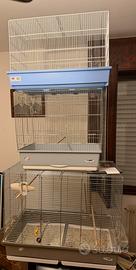 Tre gabbie con accessori come nuove