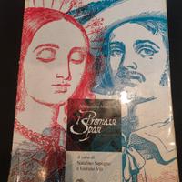 I promessi Sposi Manzoni Sapegno