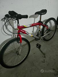 Due bici