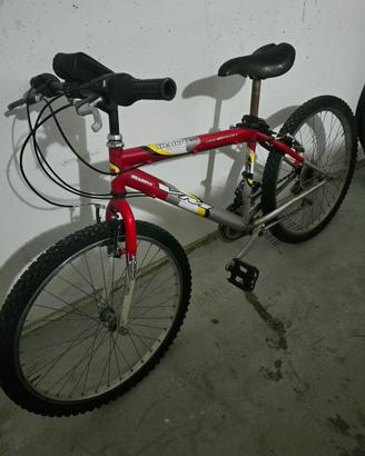 Due bici