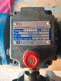 motovariatore 1hp