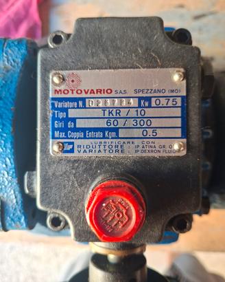 motovariatore 1hp