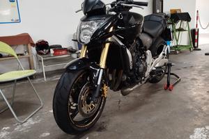 Hornet 600 