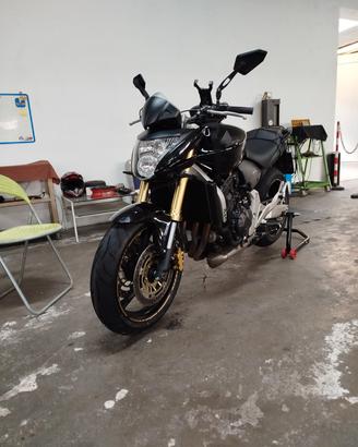 Hornet 600 