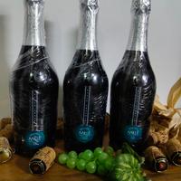 3 bottiglie Millė Franciacorta Brut riserva 2016.