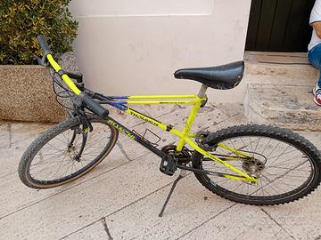 Bianchi Thomisus 