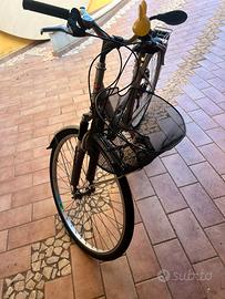 bici da passeggio