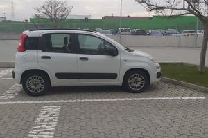 FIAT PANDA 1.2 EASY GPL
