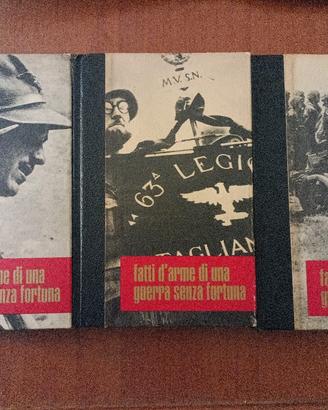 fatti d'arme di una guerra senza fortuna