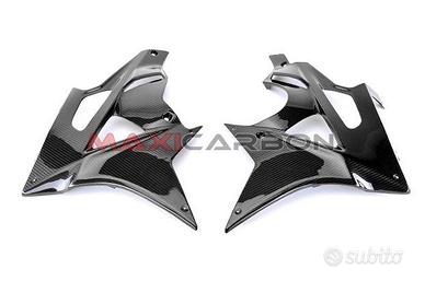 Vasca carene carbonio BMW S1000RR pre-2015
