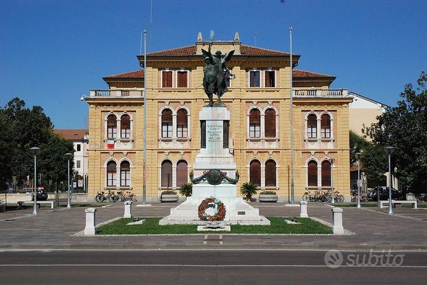 Negozio a Mogliano Ronzinella