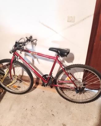 bicicletta 