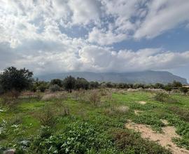 Terreno, Carini.