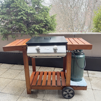 Barbecue primavera by dolcevita partynox 2 fuochi