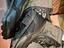 Immagine 6