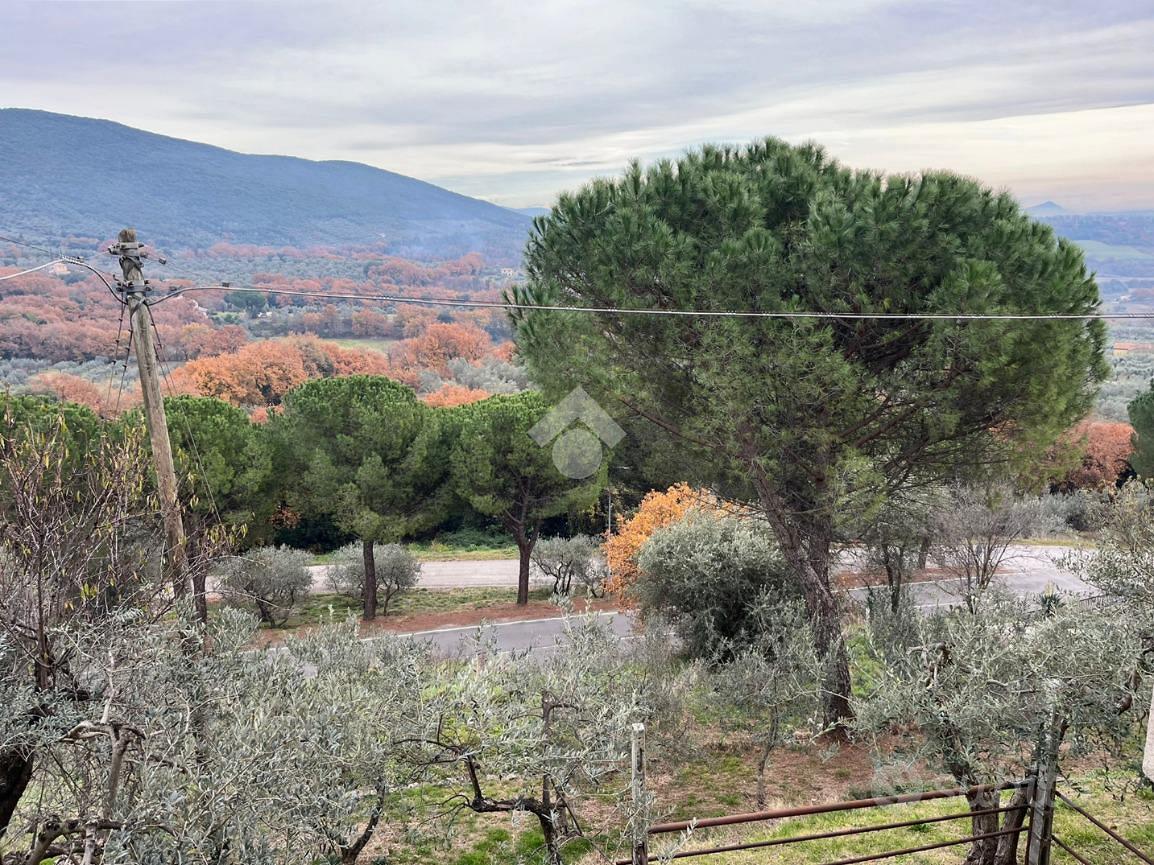 Apartment in Lugnano in Teverina, Collesecco - Vista 6