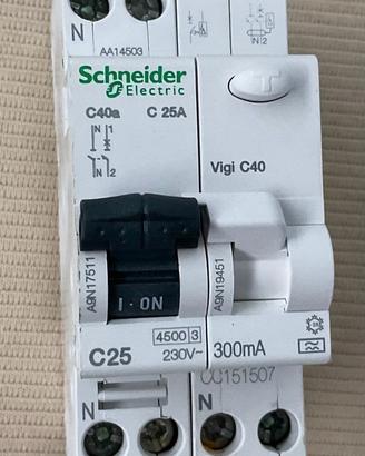 Magnetotermico Differenziale Schneider 300 mA