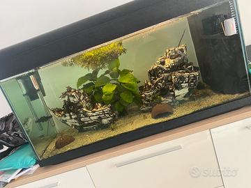 Acquario 200 lt