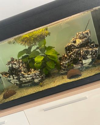 Acquario 200 lt