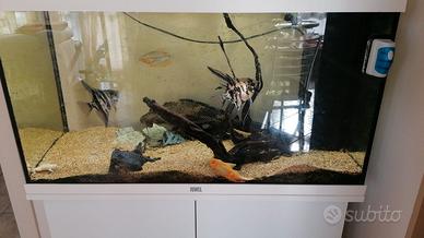 ACQUARIO RIO 125 LT + PESCI+MOBILETTO+ACCESSORI