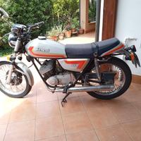 Benelli Altro modello - 1982