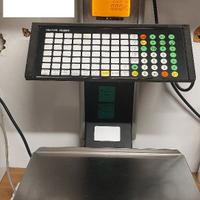 BILANCIA METTLER TOLEDO max 6 kg.