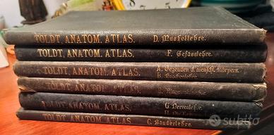 Atlante Toldt 1900 set completo 6 volumi originali