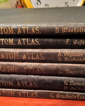 Atlante Toldt 1900 set completo 6 volumi originali