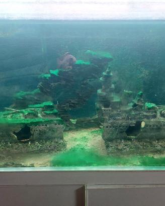 acquario 180 L completo