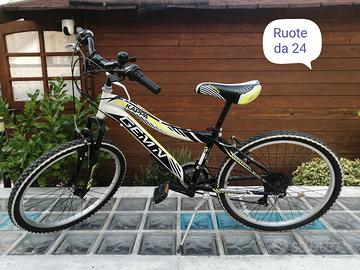 bicicletta ragazzo raggio 24