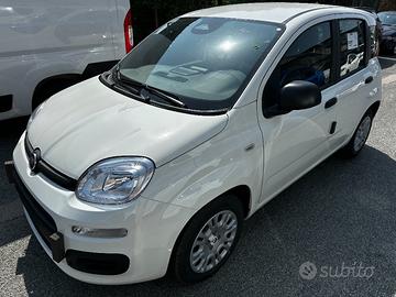 FIAT Panda 1.0 70cv Hybrid Panda