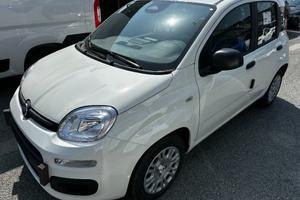FIAT Panda 1.0 70cv Hybrid Panda