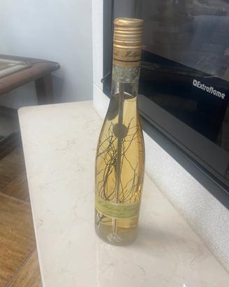 Millefiori “Cucchi”