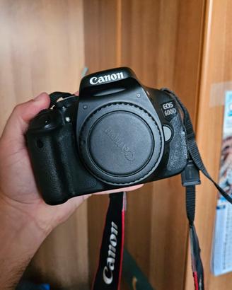 Canon 600D, Canon 70-200 f4 IS L USM, Sigma 17-50 