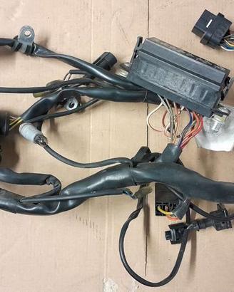 Cablaggio anteriore Ducati Sport Touring ST3