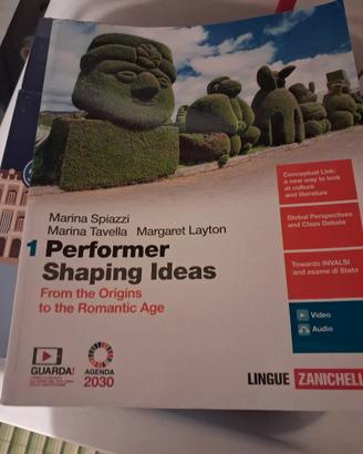 Performer shaping ideas
