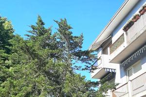 Appartamento bilocale