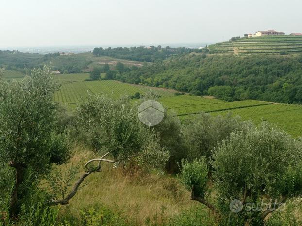 TER. AGRICOLO A VERONA