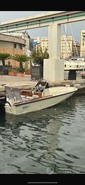 Boston whaler 18