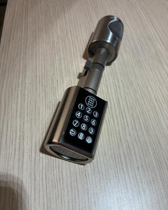 Serratura Smart Europea Cilindro Elettrico tasti