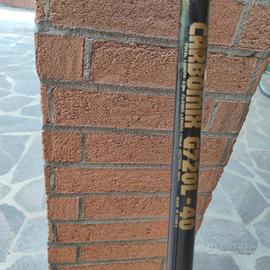  due canne da pesca daiwa