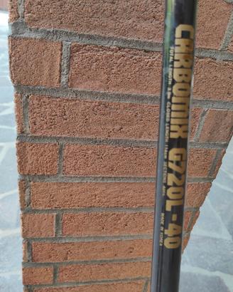  due canne da pesca daiwa