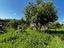 Immagine 25