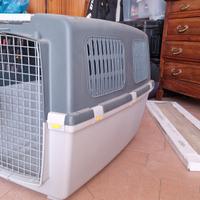 kennel taglia medio grande