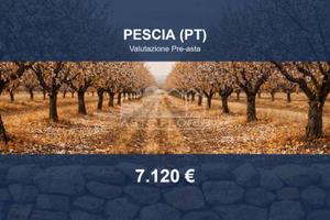 Immobile in asta di 4965 m² a Pescia