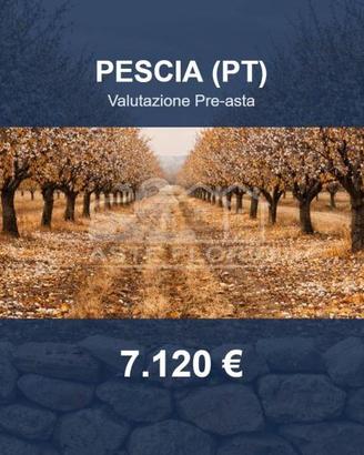 Immobile in asta di 4965 m² a Pescia