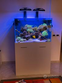 Acquario marino