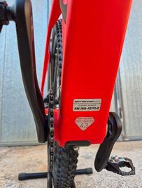 mtb bottecchia in carbonio.