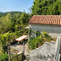 Terreno agricolo con magazzino e casetta